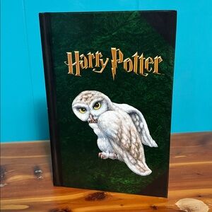 2000 Harry Potter Green Journal with Hedwig Owl
